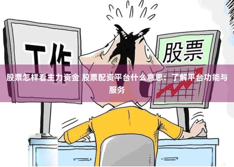 股票怎样看主力资金 股票配资平台什么意思：了解平台功能与服务