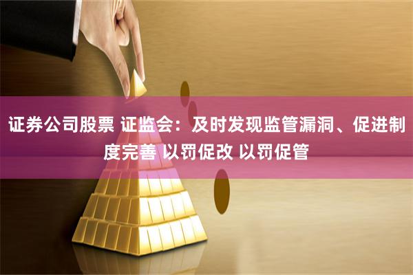 证券公司股票 证监会：及时发现监管漏洞、促进制度完善 以罚促改 以罚促管